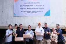 Cumi Tangkapan Nelayan...