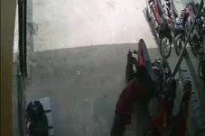 Geger Pria Pamer Kemaluan...