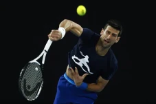Novak Djokovic Masuk...
