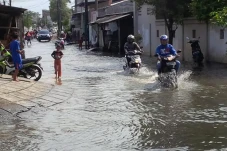 Asal Usul Rawa Buaya,...
