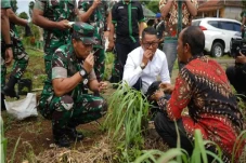 Tinjau Perkebunan di...