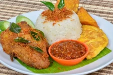 Rekomendasi dan Tips...