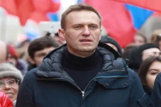 Profil Alexei Navalny:...