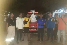 Meresahkan Warga, Sarang...
