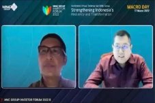 Hary Tanoesoedibjo Usul...