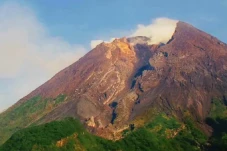 Wedus Gembel Merapi...