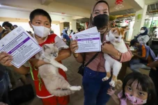Antisipasi Rabies, Puluhan...