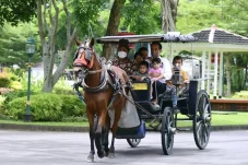Isi Hari Minggu, Jokowi...
