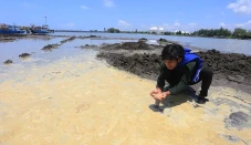 Ricuh Demo Limbah Pantai...