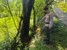 Pulang Antar Ayah ke...