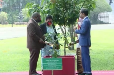 Jokowi dan PM Papua...