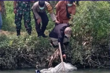 Polisi Tangkap Pelaku...