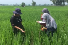 IPB Inisiasi Kampus...