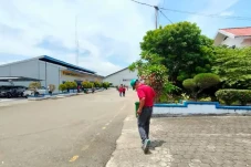 Karyawan Pabrik Kayu...