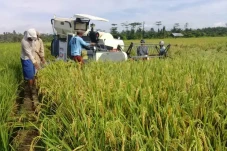 RDP DPR dengan Kementan,...
