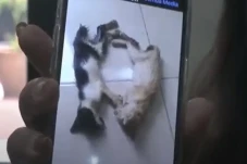 Selewengkan Dana untuk...