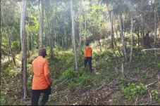 Pria di Konawe Hilang...