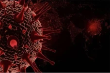 Varian Virus Corona...