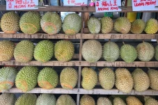 3 Negara Penghasil Durian...