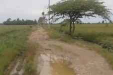 Jalan Dusun Apala dan...