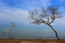 5 Pantai Indah Dekat...