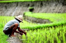Kelompok Tani se-Sulsel...
