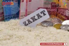 Macam-macam Zakat Selain...