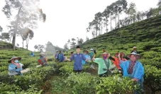 Beri Semangat dan Bantu...