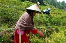 Pegiat Pertanian Asal...