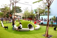 3 Taman Anjing di Jakarta,...