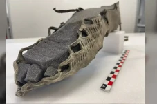 Pendaki Temukan Sandal...