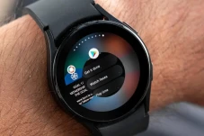 Misteri Pixel Watch...