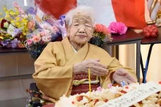 Wanita Jepang Berstatus...