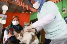 Pertahankan Jakarta...