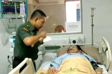 Diserang Demam Berdarah,...