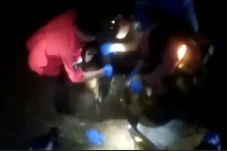 Diterkam Buaya Muara,...
