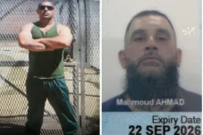 Bos Gangster Mahmoud...