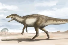 Megaraptor Terbesar...