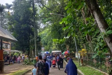 Pihak Ragunan Sayangkan...