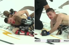 MMA Gempar! Bahu Petarung...
