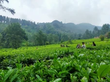 Libur Lebaran, Wisata...