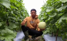 Dapat Dukungan Kementan,...