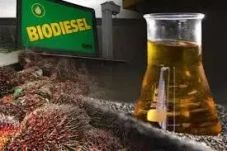 Penyaluran Biodiesel Tahun...