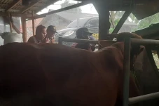 Antisipasi Penyebaran...