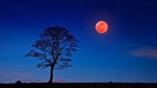 Ada Gerhana Bulan Total...