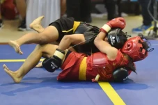 SEA Games 2021: Sanda...