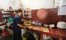 Peternakan Ayam Pemicu...