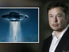 Elon Musk Mau Bangun...