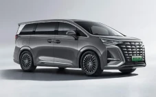 Denza D9, Alphard KW...