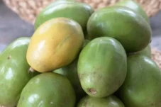 6 Manfaat Buah Kedondong,...